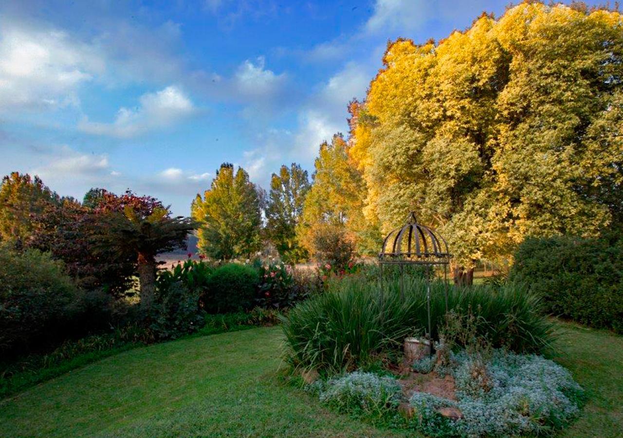 Amber Avenue Guesthouse Howick Zewnętrze zdjęcie